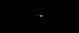 Lion_795