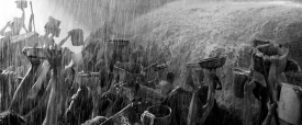 BlackAndChrome_875 BlackAndChrome_875