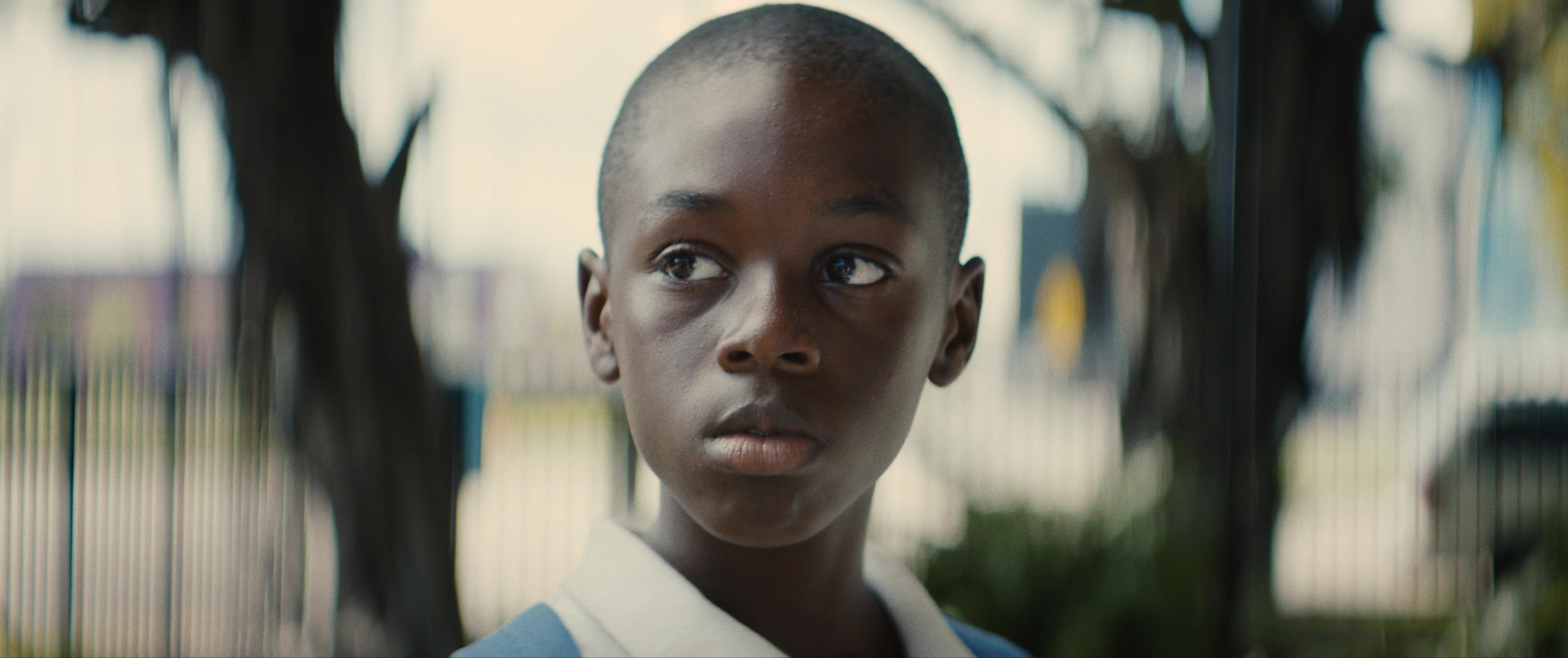 Moonlight (2016) in 4k – Evan E. Richards