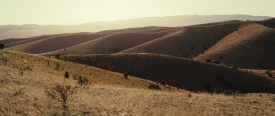 nocountry008