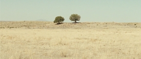 nocountry041