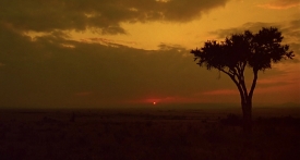 outofafrica001