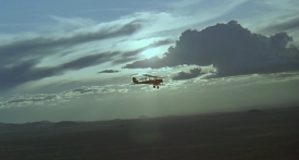 outofafrica007