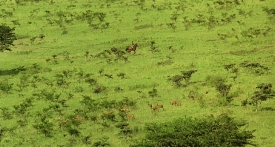 outofafrica093