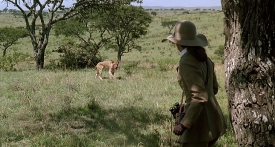 outofafrica094