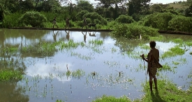 outofafrica106