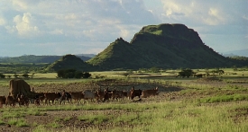 outofafrica169