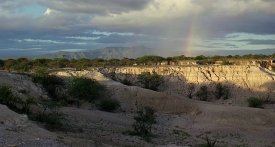 outofafrica178