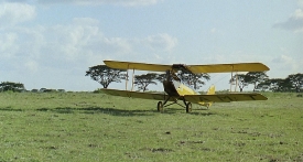 outofafrica390