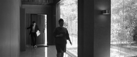 Parasite_0245