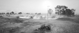Roma_1396