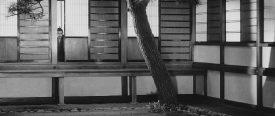 sanjuro-164