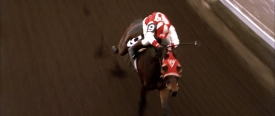 seabiscuit451