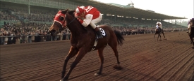 seabiscuit454