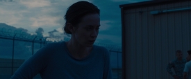 Sicario_291