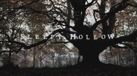 sleepyhollow029