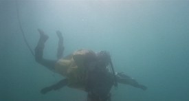 divingbell201
