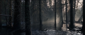 TheRevenant_015