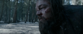 TheRevenant_285