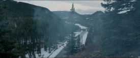 TheRevenant_291