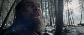 TheRevenant_306