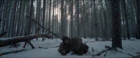 TheRevenant_311