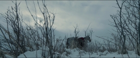 TheRevenant_441
