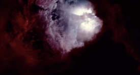 treeoflife-097