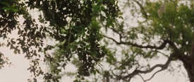 theroad001