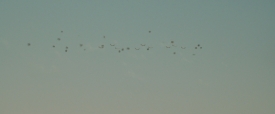 Unbroken_462