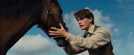 warhorse056