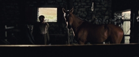 warhorse085